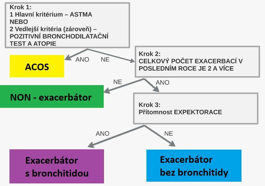 se dále dělí podle expektorace sputu na exacerbátory s bronchitidou (AE CB Acute exacerbator with chronic bronchitis) a exacerbátory bez