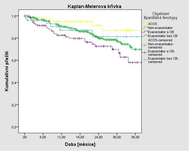 Obrázek 21: Kaplan-Meierova křivka Pacienti byli sledováni v průběhu 3 let (36 měsíců) podle rozdělení do fenotypů.