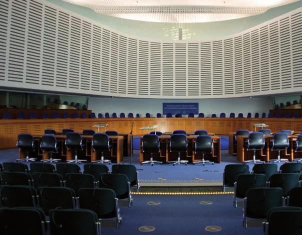 Koncem minulého roku rozhodoval Ústavní soud ČR o ústavní stížnosti, která byla spojena s návrhem na zrušení právě výše citovaných ustanovení.