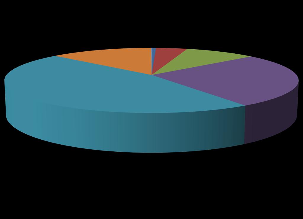 Sociální služby - Věková struktura klientů v roce 2017 90-99 let 13% nad