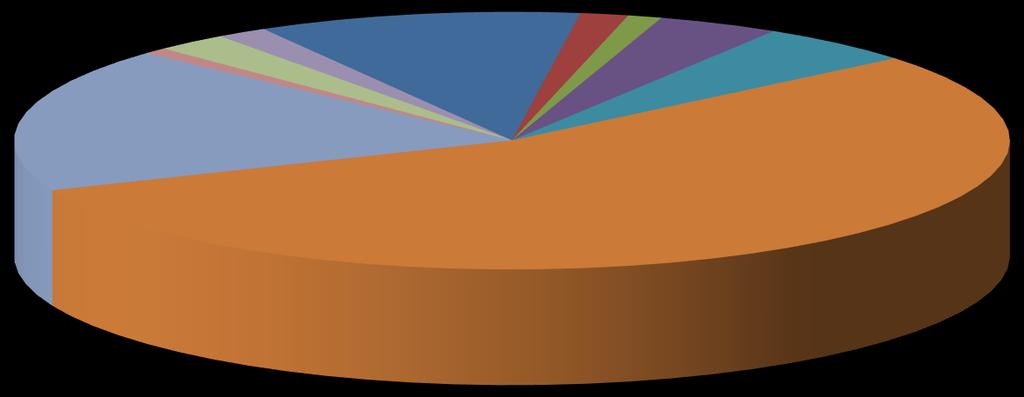 Přehled o nákladech v roce 2017 Ostatní náklady 2% Zákonné sociální náklady 1% Odpisy majetku 2% Všeobecný materiál 10% Energie 2% Opravy a udržování 1% Cestovné 4% Ostatní služby 5% Všeobecný