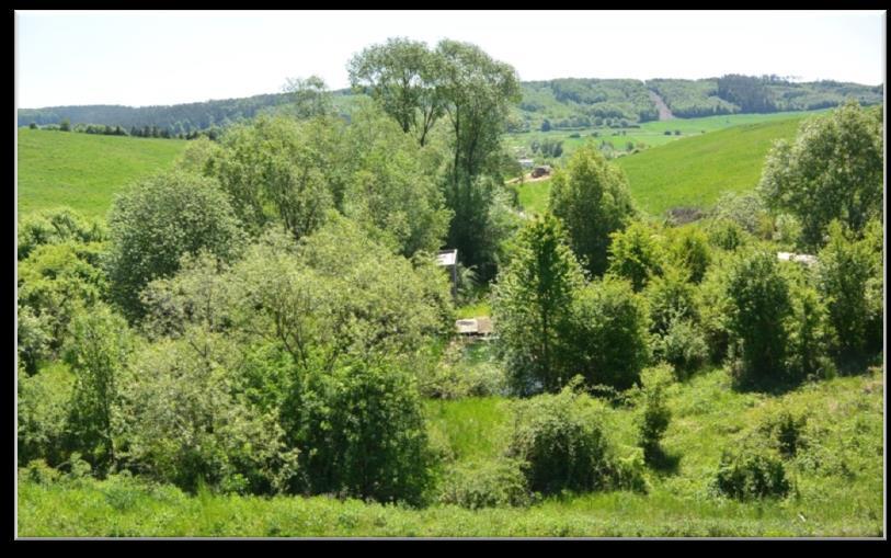 V skúmanom území nie je preukázané environmentálne riziko zo šírenia sa znečistenia podzemnou vodou.