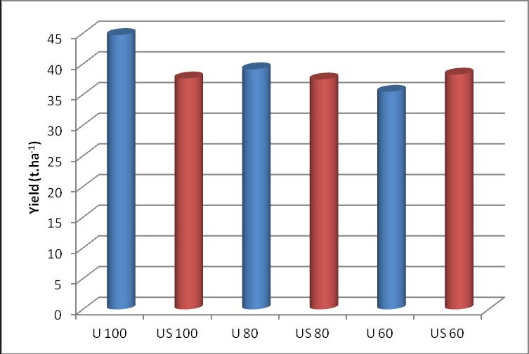 Graf 1: Výnos hlíz porovnání variant hnojení a odrůd Z grafu č. 2 je patrné, že nejnižšího obsahu dusičnanů bylo dosaženo u varianty US 100 % a to 184.5 mg.kg -1 fresh mass.