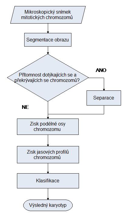 4 Realizace programu pro klasifikaci chromozomů Návrh vlastního algoritmu je založen na metodách zpracování obrazových snímků mitotických chromozomů, které jsou popsány v předchozích kapitolách.