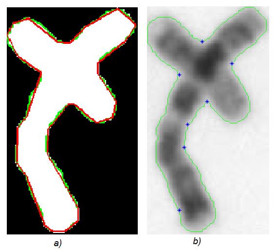 Obrázek 15: Aproximace hranice chromozomu polygonem a) hranice chromozomu (zeleně) a její aproximace polygonem (červeně), b) vyznačení konkávních úhlů na polygonu Z Obrázek 15