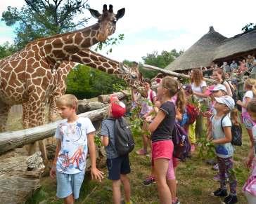 Stanice zájmových činností TEnvironmental Education Centre Prázdniny v zoo Letní prázdniny Brněnská zoo již delší dobu organizuje velice úspěšnou akci příměstský prázdninový tábor.