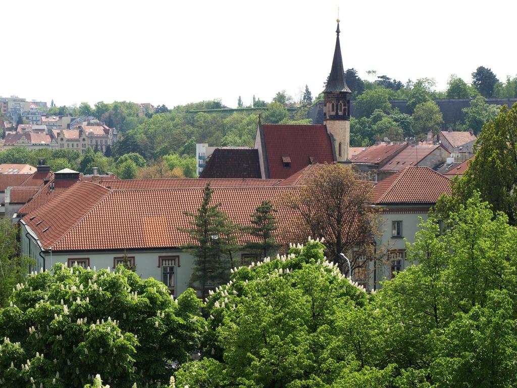 REVMATOLOGICKÝ ÚSTAV Na Slupi 4, 128 50 Praha 2 IČO: 0023728; DIČ:
