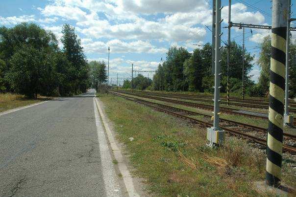 V případě výskytu zvláště chráněných druhů se častěji jedná o druhy obecně rozšířené