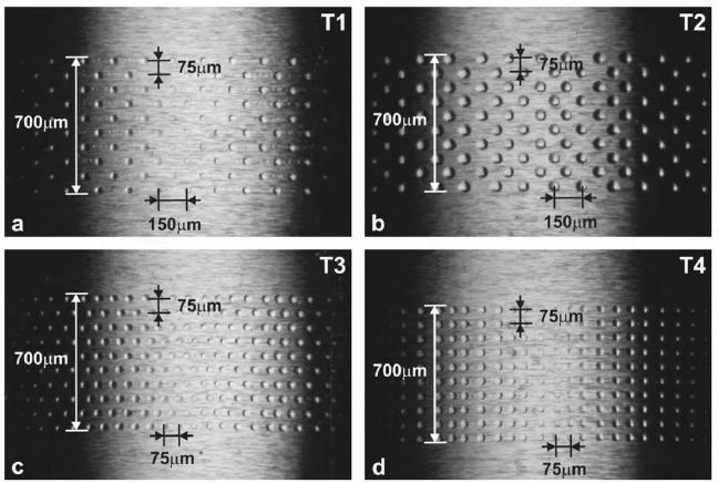 Rozměry mezi jednotlivými vtisky vtisky byly 75 µm mezi řadami i mezi sloupci v případě textur T1, T3 a T4, zatímco textura T4 měla rozměry 150 µm mezi sloupci a 75 µm mezi řadami.