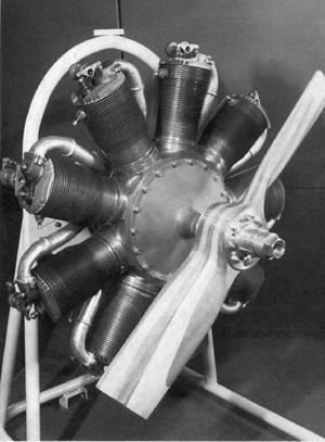 V meziválečném období se motor této firmy vyráběl v licenci i v Československé republice a používal se i v českých letadlech.