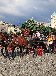 kulturního centra v ČR Budeme lídrem