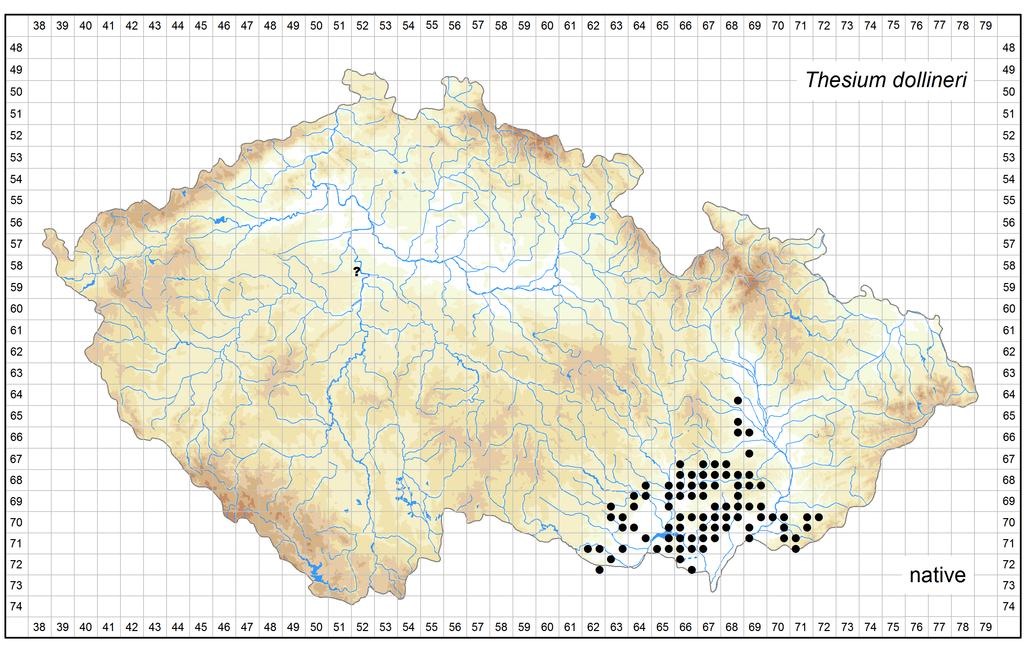 Author of the map: Václav Dvořák, Martin Dančák Map produced on: 06-02-2017 Distribution of Thesium dollineri in the Czech Republic Database records used for producing the distribution map of Thesium