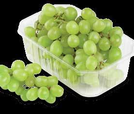 BÍLÉ 500 g bezsemenné sleva 34 %