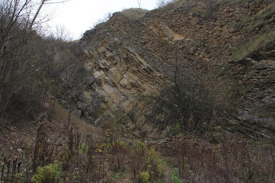 2.6.2 Mušlovka a její okolí Obrázek 7: Lom Mušlovka (foto: L. Hrouda) Mušlovka je lokalitou slavnou díky svému vysokému množství silurských zkamenělin, které zde lze najít.