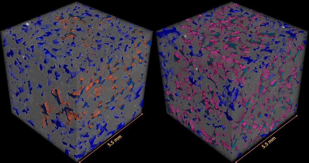 Obr. 3.4: 3D vizualizace s barevně vyznačenými póry; vlevo vzorek před expozicí, vpravo po expozici. Obr. 3.5: Nastavení automatické detekce pórů (defektů) v materiálu; vlevo vzorek před expozicí, vpravo po expozici.