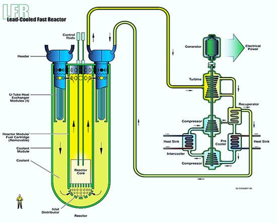 U tohoto typu reaktoru se předpokládá několik provedení: bariérový reaktor s tepelným výkonem ~ 125 MWt 400 MWt, chladivo Pb a Bi s přirozeným prouděním a výstupní teplotou z reaktoru ~ 550 C.