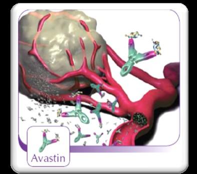 .. VEGF Angiogenesis.