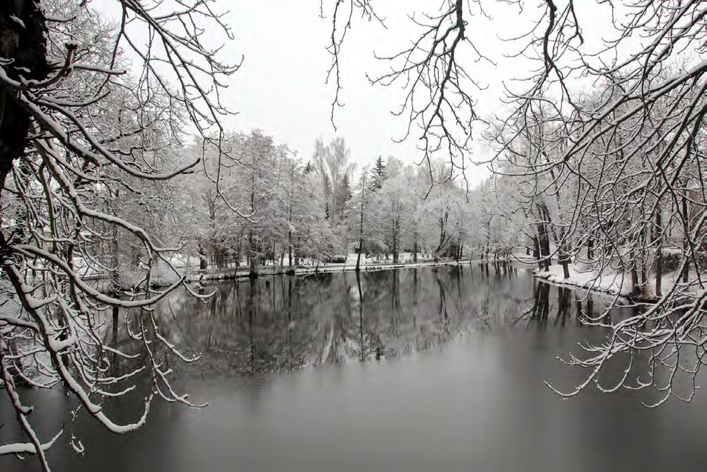 BŘEZNICKÉ NOVINY Noviny města Březnice www.breznice.cz ročník XV.