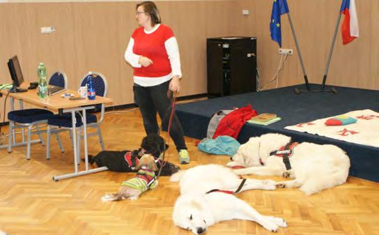 12/2017 VOŠ a SOŠ BŘEZNICKÉ NOVINY 27 CANISTERAPIE ANEB JAK PES MŮŽE LÉČIT V rámci výuky odborných sociálních předmětů na VOŠ a SOŠ v Březnici byla pro studenty 3. a 4.