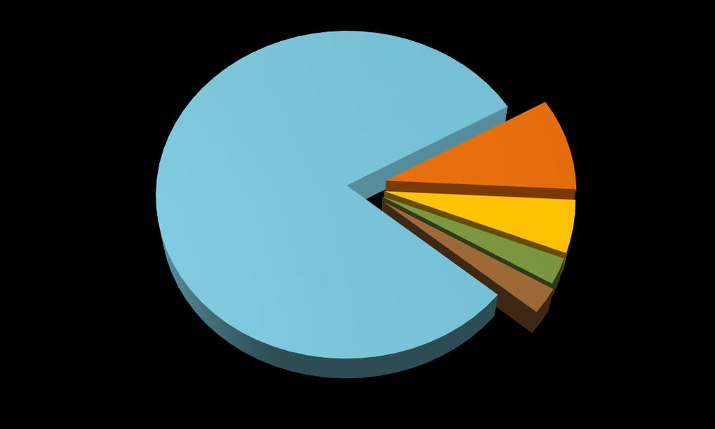 2018 kapitálové výdaje fakultativní 9,11 % běžné výdaje obligatorní 80,62 % běžné výdaje