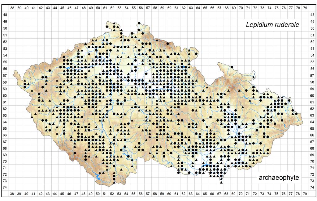 Distribution of Lepidium ruderale in the Czech Republic Author of the map: Michal Ducháček Map produced on: 12-06-2018 Database records used for producing the distribution map of Lepidium ruderale