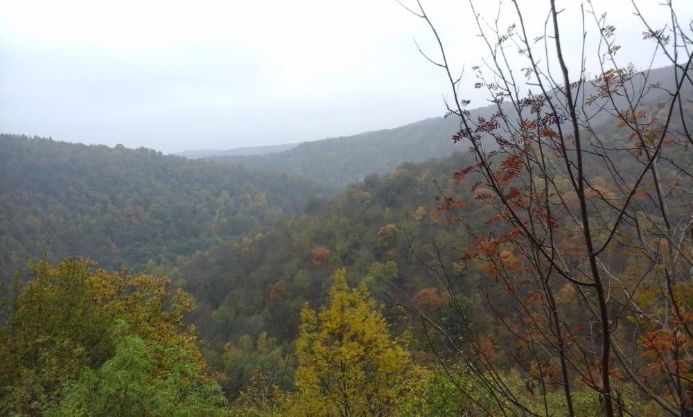 KVÍZ O NP PODYJÍ 1) NP PODYJÍ je a) nejmenší b) nejstarší c) největší NP 2) Cesta kaňonem řeky Dyje je a) 10 krát delší b) 5 krát kratší c) 3 krát delší neţ vzdušná vzdálenost mezi Vranovskou