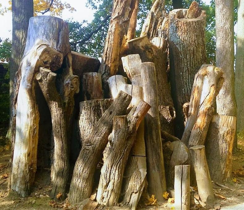 třídách šlo nejlépe třídění papíru a největší problém měli asi s tříděním hliníku. Myslíme si, ţe prvňáky přednáška bavila, ale nejvíc je asi bavilo praktické třídění těch odpadŧ.