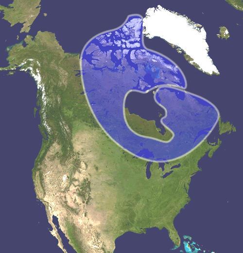 Kanadský štít - najstaršia časť Severnej Ameriky Geologicky najstaršia časť Južnej Ameriky: Guyanská vysočina