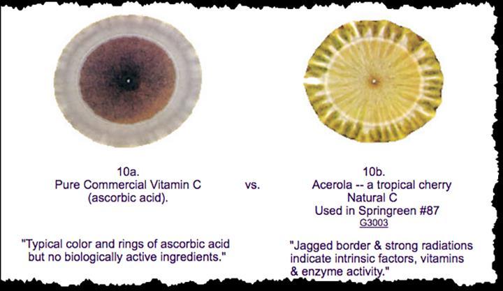 Porovnání chromatogramů vitamínu C Je zřejmé, že syntetický vitamín C (vlevo) postrádá mnoho důležitých kofaktorů.
