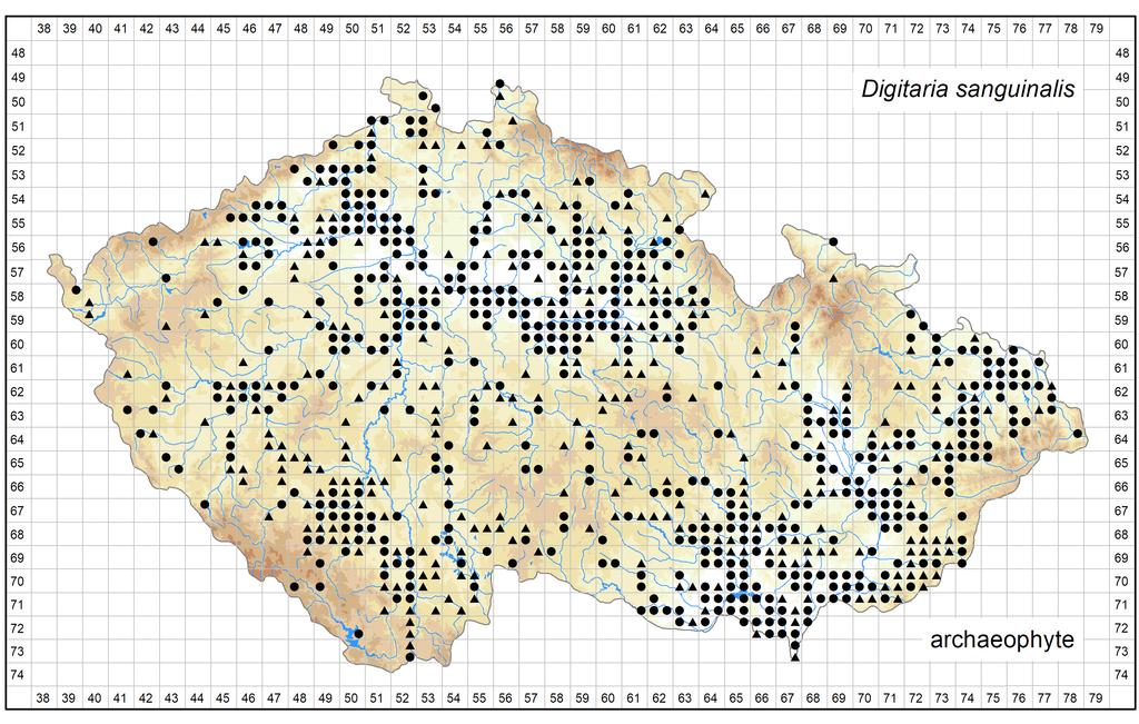 Distribution of Digitaria sanguinalis in the Czech Republic Author of the map: Jiří Danihelka, Michal Ducháček Map produced on: 15-10-2017 Database records used for producing the distribution map of