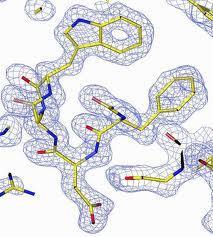 molekuly) - peptidový řetezec, postranní řetězce