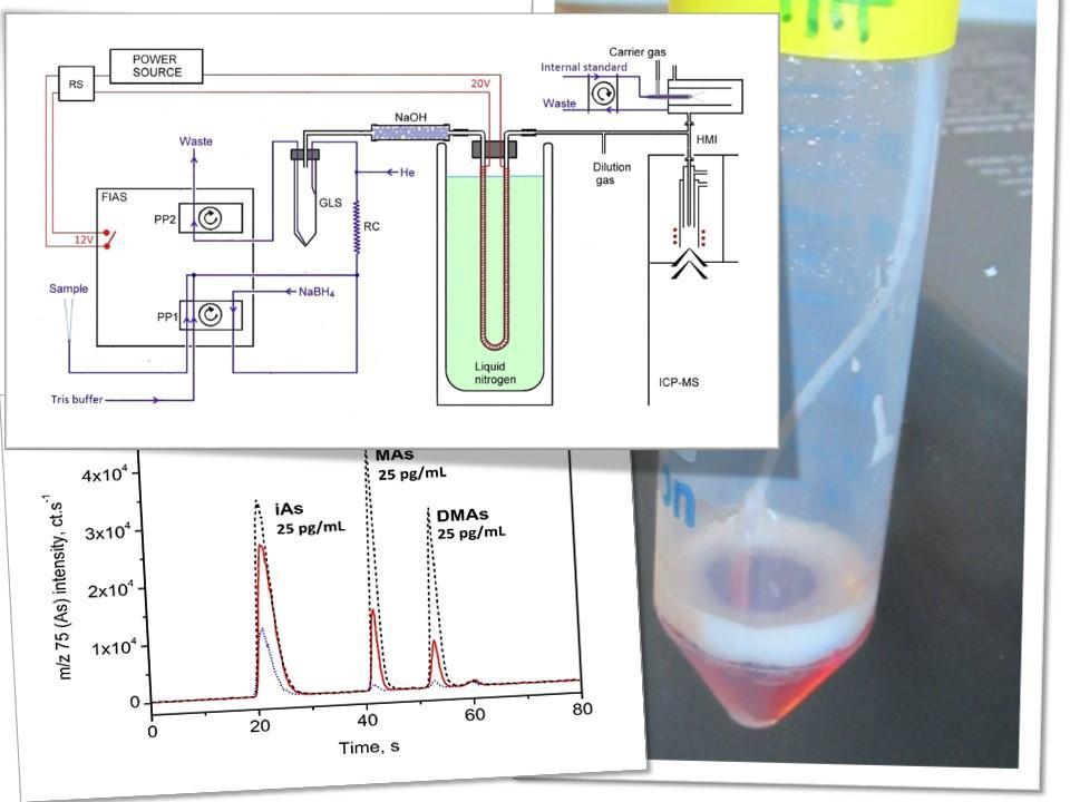 Metoda pro stopovou speciační analýzu arzenu v plné krvi: Schéma aparatury, reakční směs se vzorkem krve v separátoru fází a výsledný chromatogram specií arsenu. Matoušek, T.; Wang, Z.; Douillet, C.