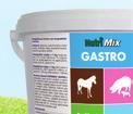 NutriMix Gastro Doplňkové krmivo pro monogastry Na podporu trávení NUTRIMIX GASTRO: udržuje balanci vody a elekrolytů; podporuje trávení; omezuje výskyt žaludečních vředů.