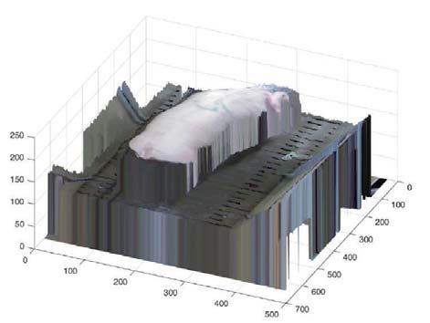 Přesnost a spolehlivost této technologie bude založena na disekci jatečných těl skenovaných prasat za účelem výpočtu vztahů mezi informacemi ze skenu a skutečným složením jatečného těla daných zvířat.