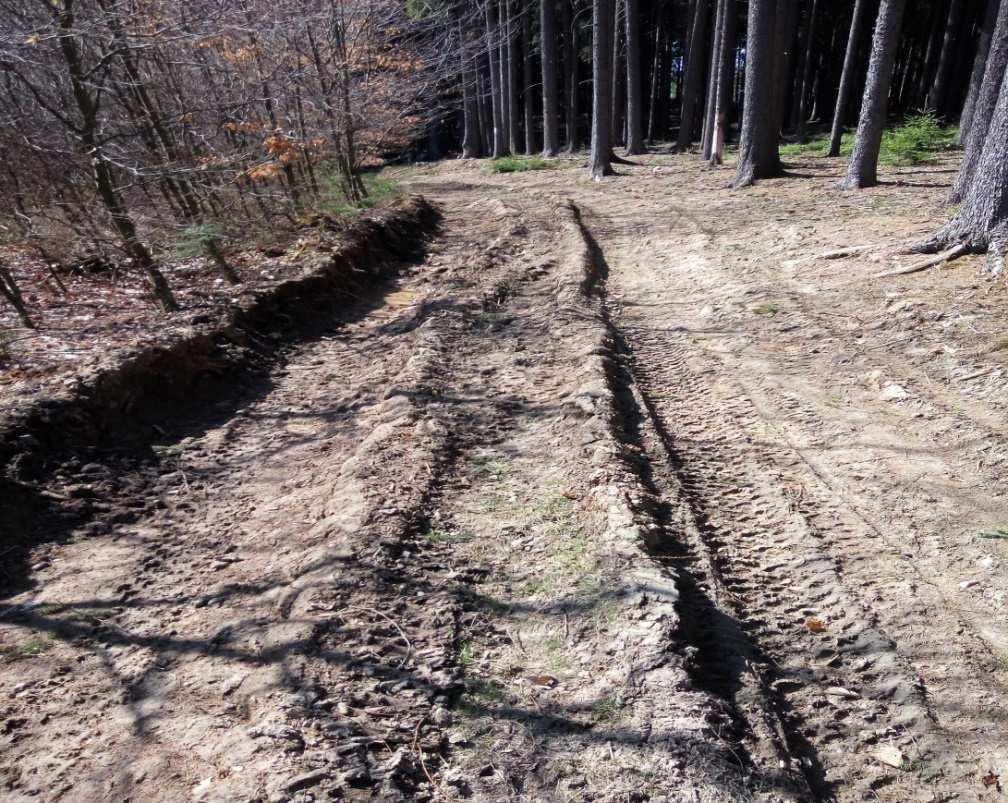 Důvodem byla lesní technika, čítající vyvážecí soupravu a harvestor, která za deštivého počasí a vysokých teplot, které se v průměru pohybovaly