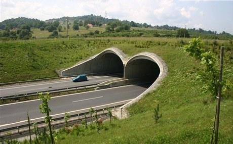 TEORETICKÝ ÚVOD víceúčelového. Na mostě je možné vést cestu pro chodce nebo cyklisty (Anděl, Hlaváč, Lenner, 20