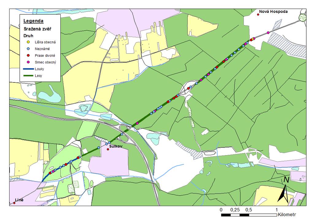 VÝSLEDKY Obrázek 22: Kategorie pokryvu a Sražená zvěř silnice č. 26 západ (topografický podklad: OpenStreetMap, 2017