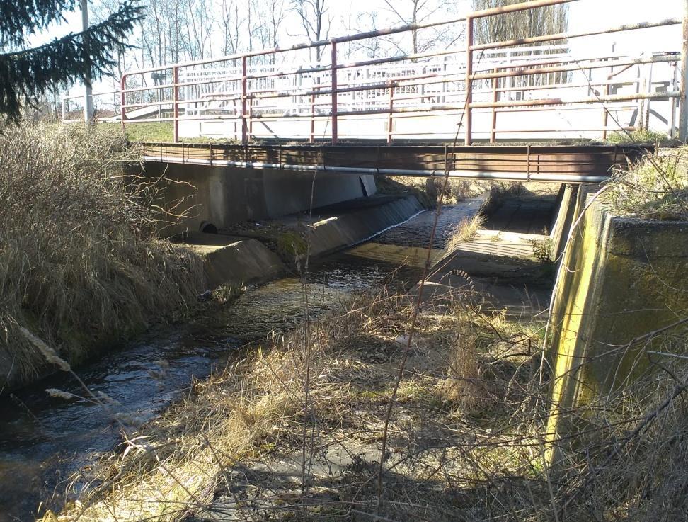 VÝSLEDKY vzdálenosti 0,5 kilometru od průchodu, směrem k městu Plzeň a přesně v místě kde končí svodidla po stranách, přibývá srážek se zvěří