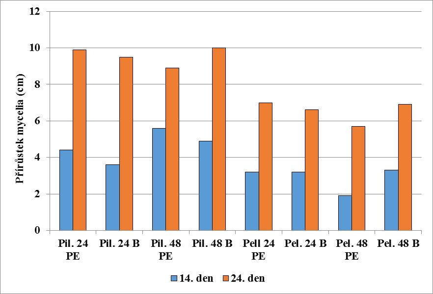 u Pleurotus eryngii. Teplotní ošetření po dobu 48 hodin ve 2 případech vykazovalo u mycelia vyšší intenzitu růstu. Graf 13.