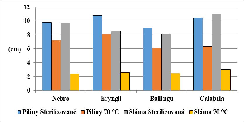 Graf 14. Růst mycelia Pleurotus eryngii a kmenů (Pleurotus nebrodensis, ozn.