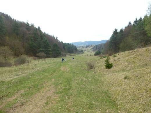 do Banskej Bystrice, časť Podryba). 6. Kyslinky Sedlo Jasenová Bukovina Strelníky Povrazník Driekyňa Šalková Banská Bystrica (40 km) Z Kysliniek vystúpime lesnou cestou do Sedla Jasenová.