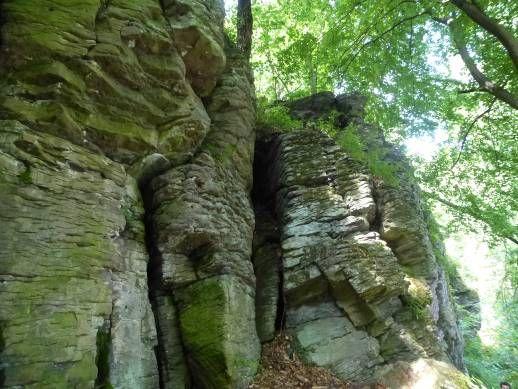 po zelenej (a v závere po modrej značke) do Detvy alebo Kriváňa. 8. Kyslinky (770 m n. m.) Zálomská (998 m n. m.) Sedlo Priehybina (1 270 m n. m.) Horský hotel Poľana (1 260 m n. m.) Bystré-Vrátka (675 m n.