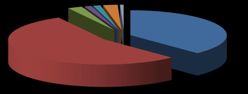 Hlavní důvody umístění klientů na IO 4% 8% 5% 3% 15% 57% nerespektování autorit