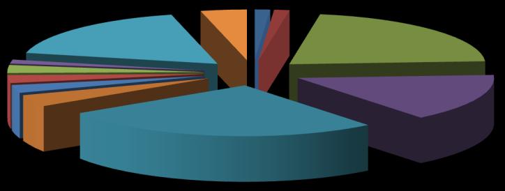 Struktura IO podle stupně výuky 38% 62% ZŠ 1. st. ZŠ 1. st. Počty klientů přijatých do péče střediska dle okresů: Pardubice 2 1 14 3 1 1 17 Ml.