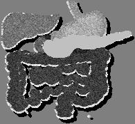 LABORATORNÍ METODY A TESTY V GASTROENTEROLOGII MUDr.Petr Kocna CSc. http://www.lf1.cuni.cz/~kocna/pkweb1.