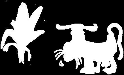 Because it is known that it takes 14 days for cows milk to be in equilibrium with a diet, milk of seven cows was collected during the last 3 weeks