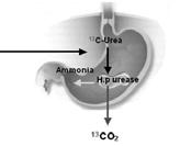 CO 2 NÁDEC - ZADRŽENÍ DECU NA 10 sec - DLOUÝ VÝDEC KONC.