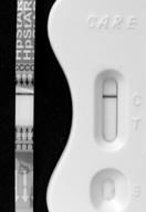 LF UK Praha 2007 ELICOBACTER PYLORI INFEKCE.
