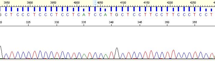 3 Frekvence alel a genotypů u sledované skupiny Frekvence alel a genotypů byla počítána u 231 jedinců (býků).