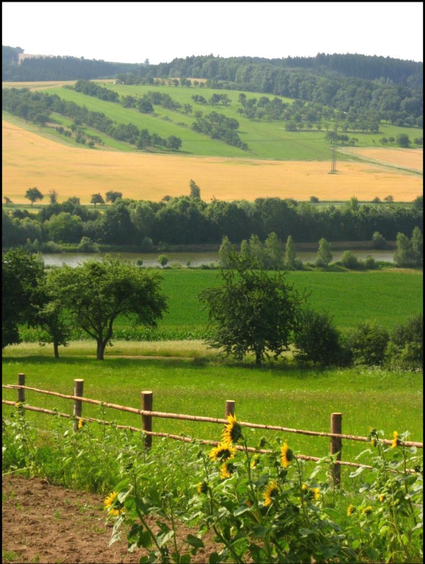 ÚZEMNÍ SYSTÉMY EKOLOGICKÉ STABILITY A RETENCE VODY V KRAJINĚ Ing.